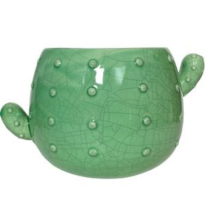 Light Green Ceramic Cactus